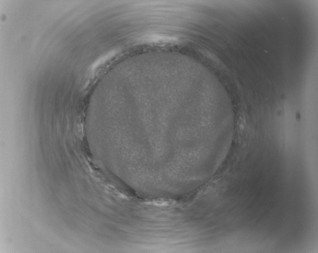 X0000051890869200507151936