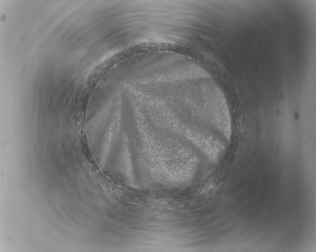 X0000051890870200507151936