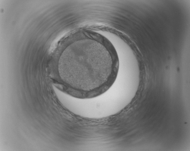 X0000051890871200507151936