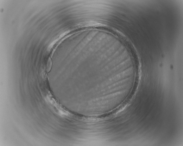 X0000051890873200507151936