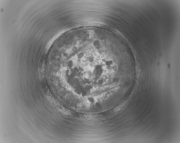 X0000051890875200507151936