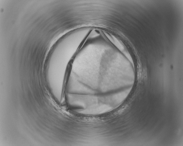 X0000051890876200507151936