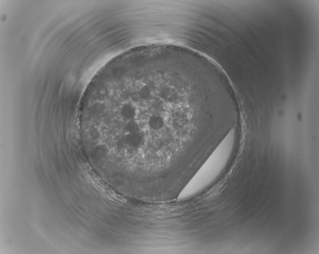 X0000051890879200507151936