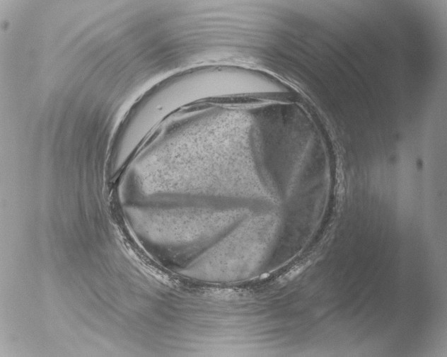 X0000051890880200507151936