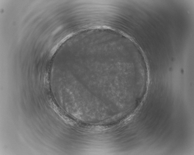 X0000051890881200507151936