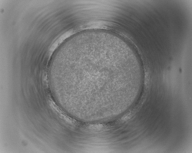 X0000051890882200507151936