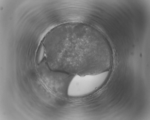 X0000051890883200507151936