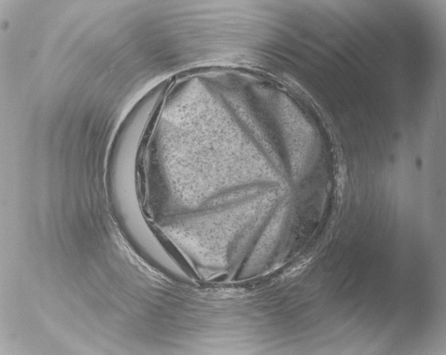 X0000051890884200507151936