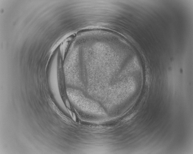 X0000051890885200507151936