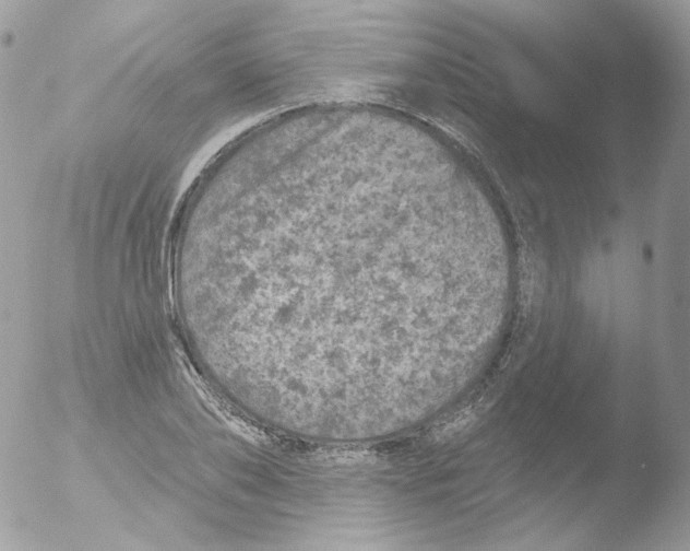 X0000051890886200507151936