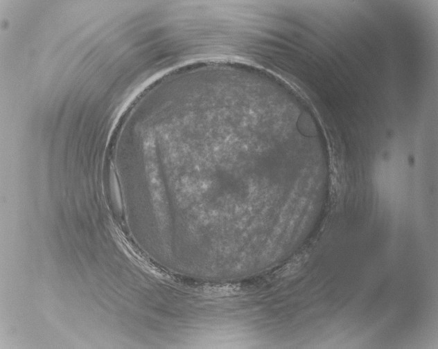 X0000051890887200507151936