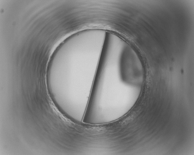 X0000051890888200507151936