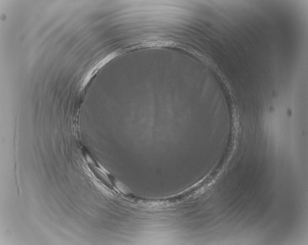 X0000051890889200507151936