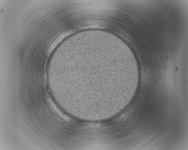 X0000051890890200507151936