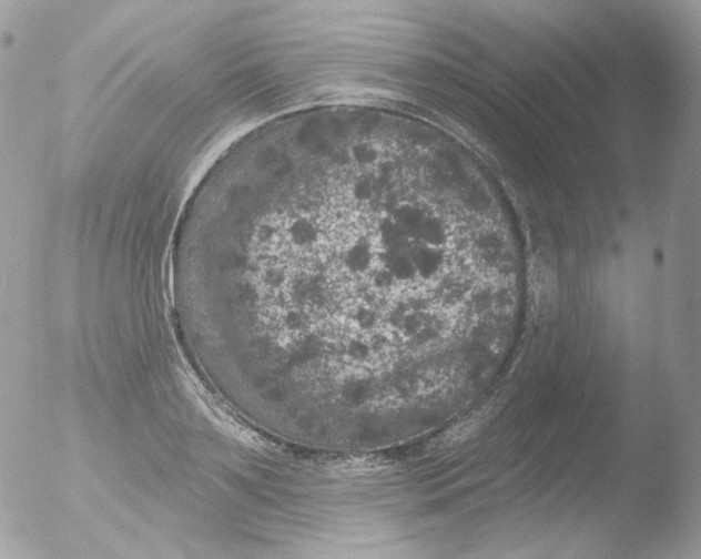 X0000051890891200507151936