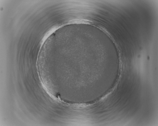 X0000051890893200507151936