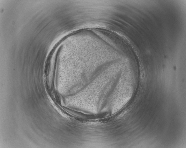 X0000051890894200507151936