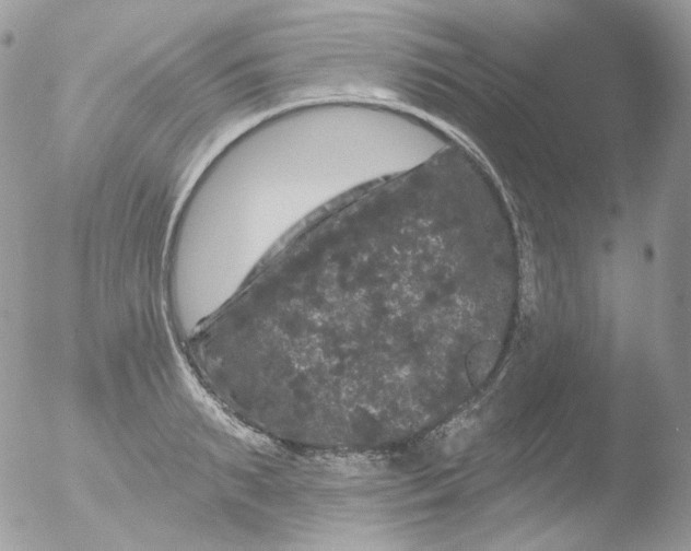 X0000051890895200507151935