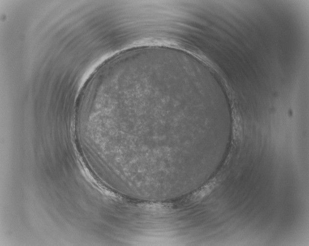 X0000051890896200507151935