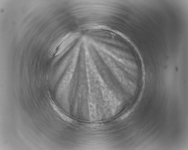 X0000051890897200507151935