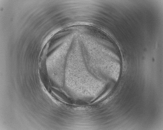 X0000051890898200507151935