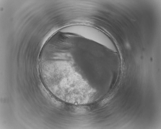 X0000051890899200507151935