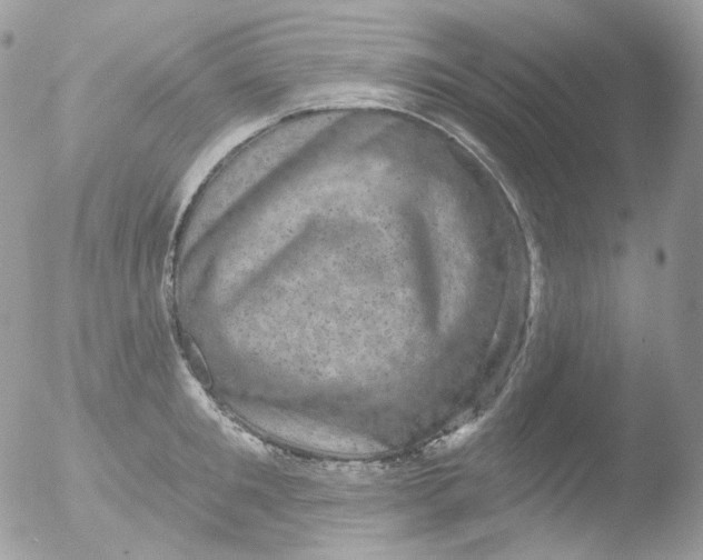 X0000051890901200507151935