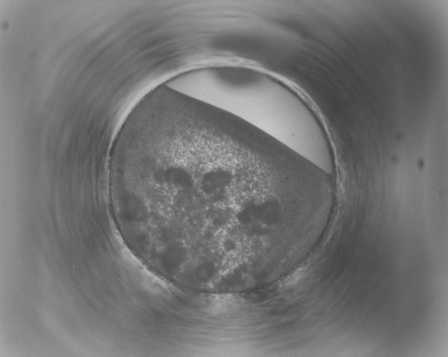 X0000051890903200507151935