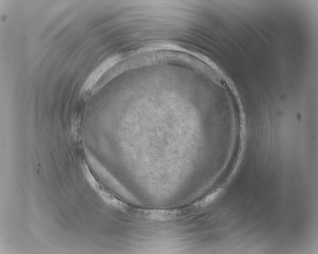 X0000051890905200507151935