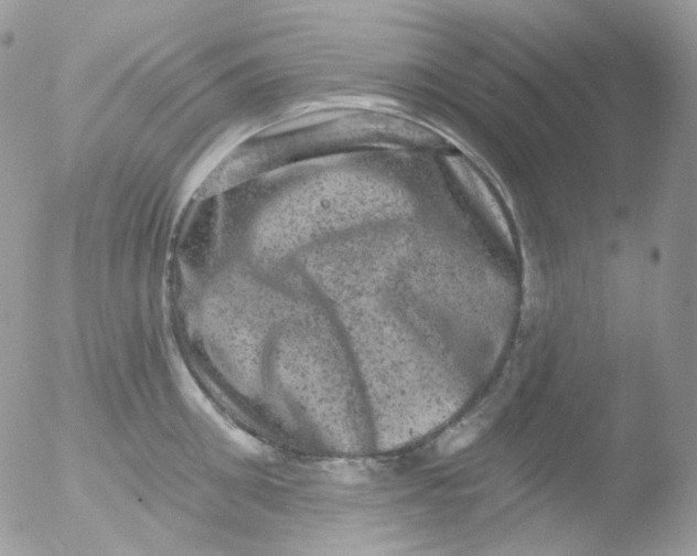 X0000051890906200507151935