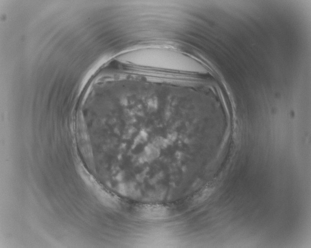 X0000051890907200507151935