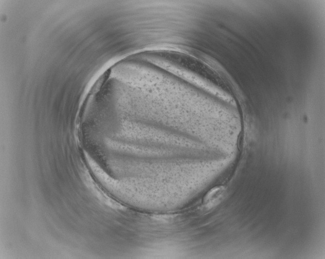 X0000051890908200507151935