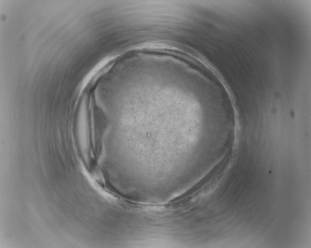 X0000051890909200507151935