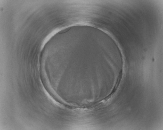 X0000051890910200507151935