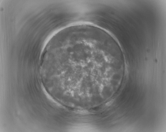 X0000051890911200507151935