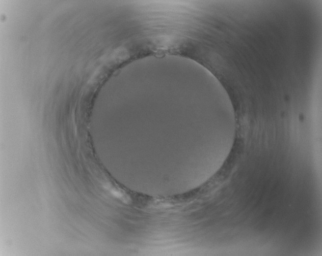 X0000051890913200507151934