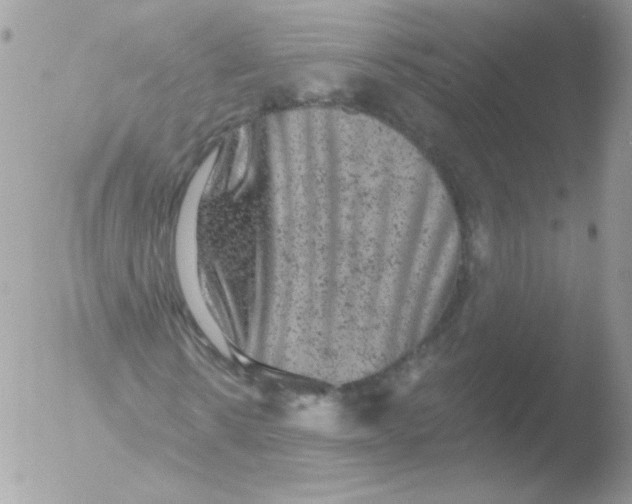 X0000051890914200507151934