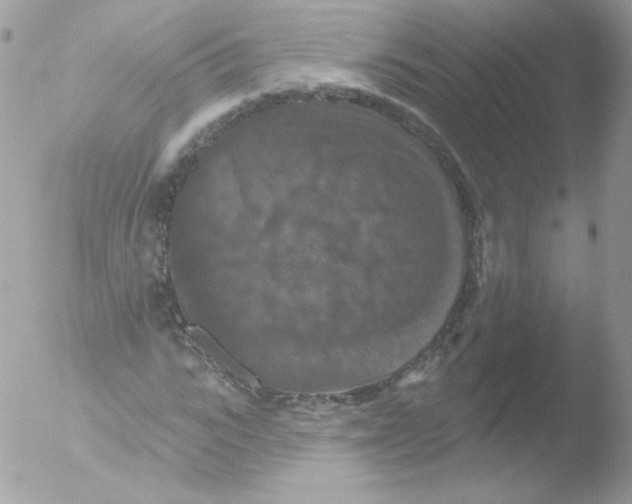 X0000051890919200507151934