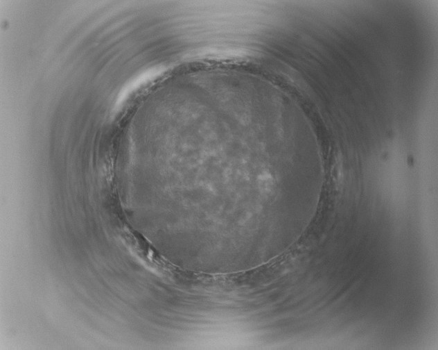 X0000051890920200507151935