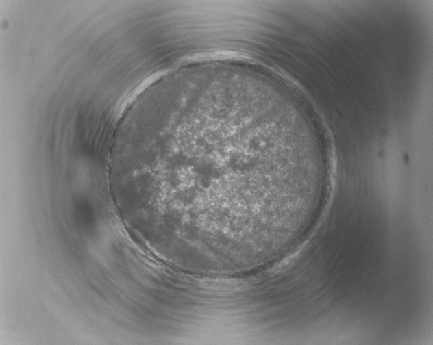 X0000051890921200507151935