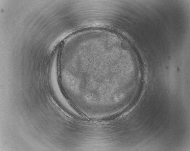 X0000051890922200507151935