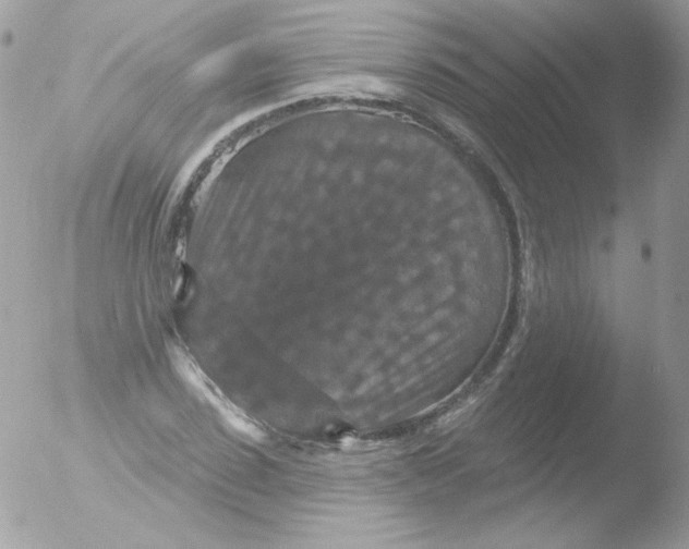 X0000051890923200507151935