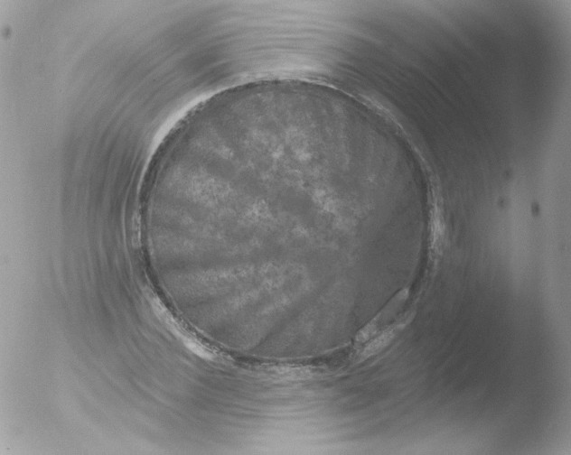 X0000051890924200507151935