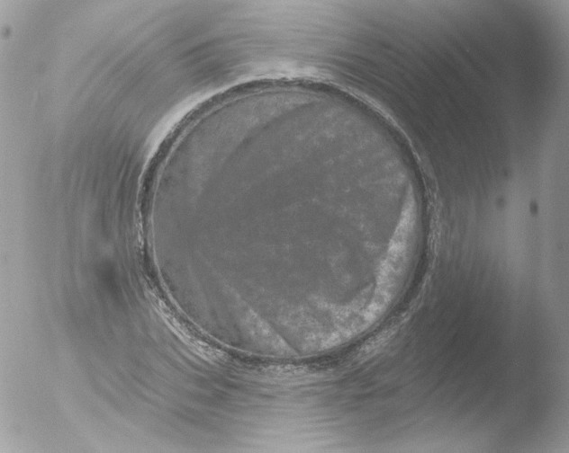 X0000051890927200507151935