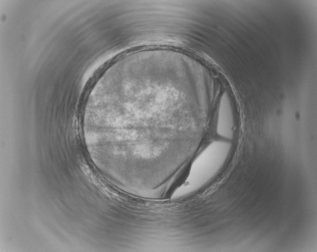 X0000051890928200507151935