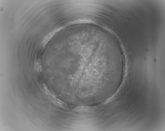 X0000051890929200507151935