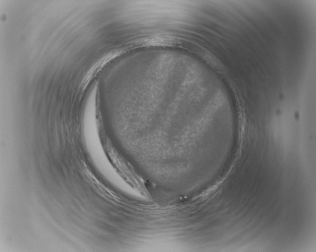 X0000051890930200507151935