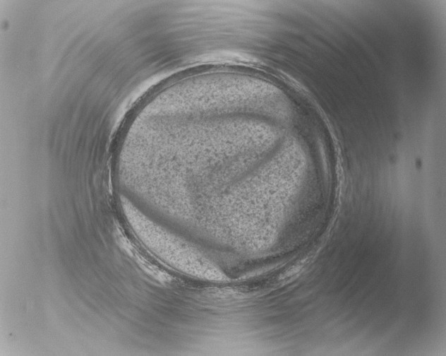 X0000051890931200507151935