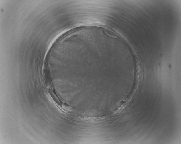 X0000051890932200507151935