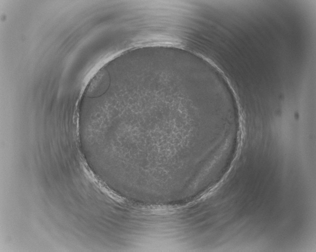 X0000051890933200507151935